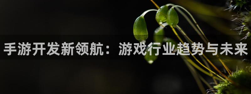 摩根娱乐官网入口下载：手游开发新领航：游戏行业趋势与未来