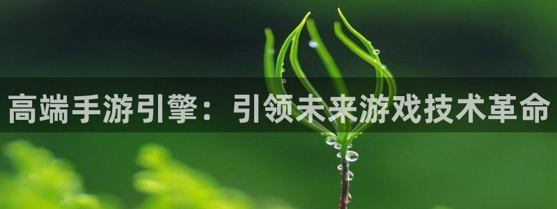 摩根娱乐挂机项目是什么：高端手游引擎：引领未来游戏技术革命