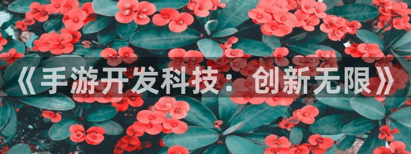 摩根娱乐挂机项目：《手游开发科技：创新无限》