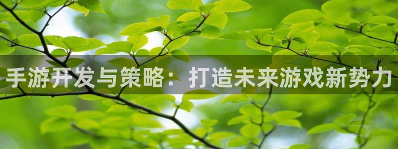 摩根娱乐这个平台怎么样：手游开发与策略：打造未来游戏新势力